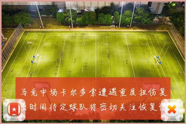 马竞中场卡尔多索遭遇重度扭伤复出时间待定球队将密切关注恢复情况