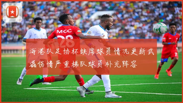 海港队足协杯缺席球员情况更新武磊伤情严重梯队球员补充阵容