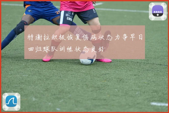 特谢拉积极恢复伤病状态力争早日回归球队训练状态良好